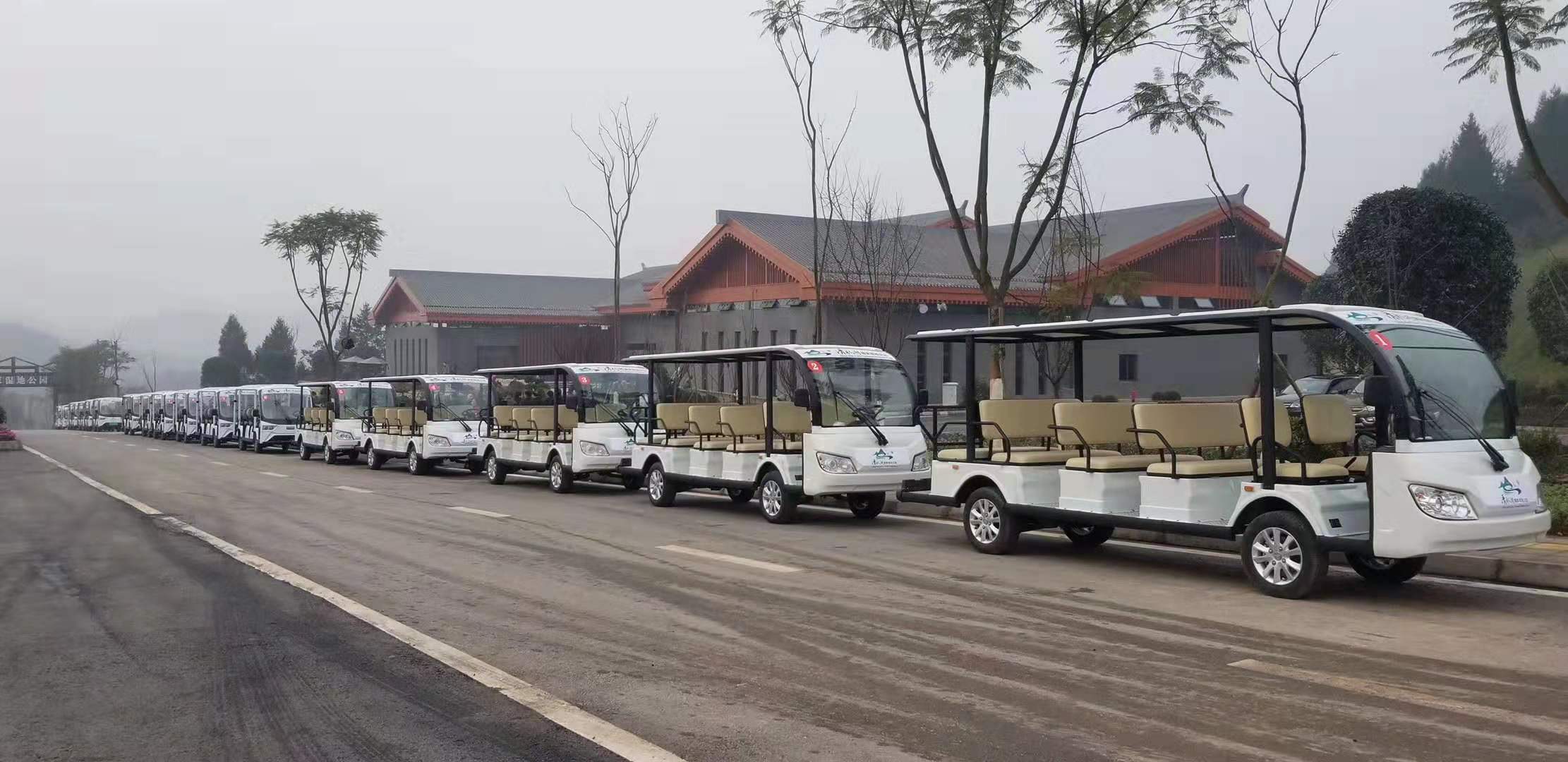人與自然的和諧相處，輕便無污染的卓越電動車